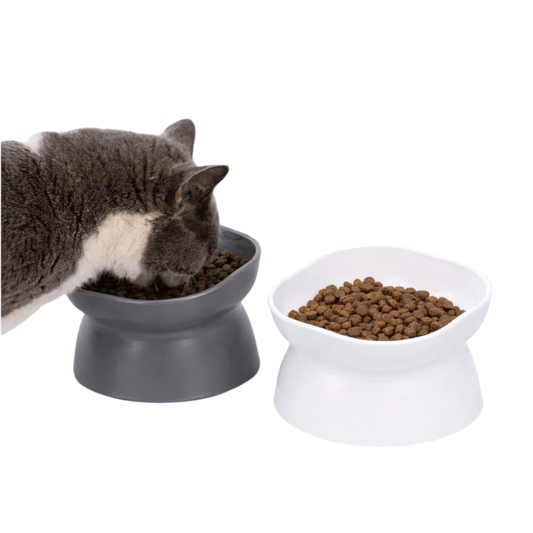 Anti-Strain Elevated Pet Bowl for Cats & Small Dogs