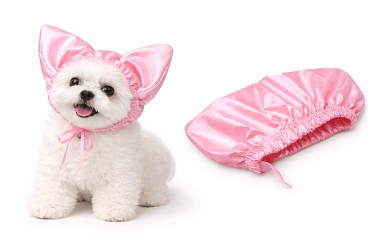 Pet shower cap for dogs worn by small dog for waterproof ear protection while bathing